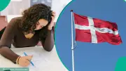 Denmark Lists 6 Categories of Foreigners Exempt from Naturalisation Test