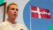 Denmark Lists 7 Foreigner Categories for Citizenship Without Residency