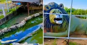 Family pays ₦500 each to see cement animals at Yola zoo
