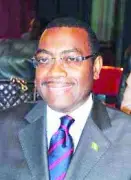 FG Urged to Drive National Dairy Plan for Local Milk Production