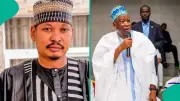 Ganduje's Son Rejoins APC After Failed NDC House Bid