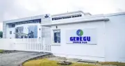 Geregu Power Defaults on Bond Payments, Investors Worry