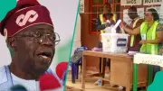 Governorship Elections Under Tinubu: APC Wins 5 of 8 Races