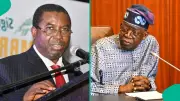 INEC Explains Tinubu's Missing School Certificates in 2027 Credentials