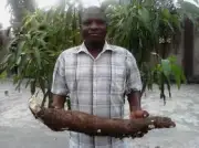Investment Research Key to Boosting Food Production in Nigeria