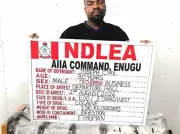 Italy-Bound Businessman Arrested with 98 Cocaine Wraps