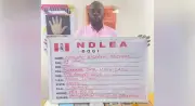 KC Luxury Sues NDLEA for N190m Over Unlawful Arrest, Detention