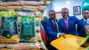 Lagos Trains Rice Millers on Fortified Rice Production as Global Market Booms