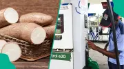 MEMAN: Cassava Ethanol in Petrol Could Cut Fuel Costs, Boost Farmers