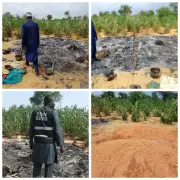 Mother, 3 Children Die in Yobe Fire Outbreak