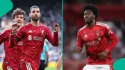 Mysterious Cat Predicts Liverpool Win Over Nottingham Forest