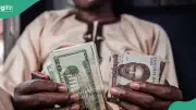 Naira Gains Against Dollar as Nigeria's Reserves Hit 17-Year High
