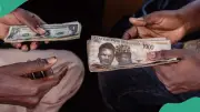 Naira Gains N8.08 as Nigeria's External Reserves Hit 17-Year High