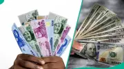 Naira Hits Five-Month High at N1,349 as CBN Cash Rule Boosts FX Liquidity