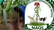 NAQS Recruitment 2026: How to Apply Before August 10 Deadline