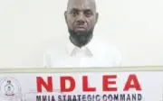 NDLEA arrests businessman with N23m cocaine at Lagos airport