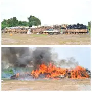 NDLEA Destroys N301 Billion Illicit Drugs in Lagos