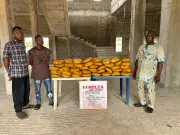 NDLEA seizes 1,490.5kg Thai Loud cannabis at Lagos ports