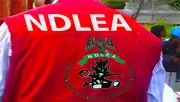NDLEA uncovers three drug warehouses in Edo, seizes 2,596kg