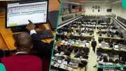 NGX Extends Losses as Investors Take Profit, Market Cap Drops N545bn