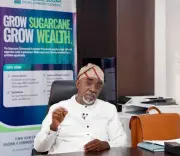 Nigeria Targets Sugar Self-Sufficiency with $1bn Pipeline, N10bn Fund