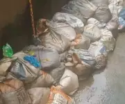 Over 100 bags of human faeces found in Abia residential building