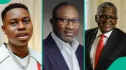 Peller Reveals Ambitious Plan to Stream with Dangote, Bill Gates, Otedola