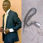 Plateau Pastor Dies from Snakebite in Gamakai Community