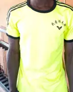 Police Arrest 20-Year-Old Man for Assaulting Mother in Adamawa
