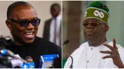 Pro-Tinubu Group Moves to Persuade Peter Obi to Step Down Ahead of 2027