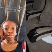 Rat Invades Cinema, Steals Woman's Shawarma in Festac Mall