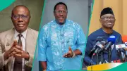 Sanwo-Olu Aide Slams Obidients for Mocking Ogogo's Cancer Diagnosis
