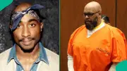 Suge Knight Claims Tupac's Ashes Were Smoked in Blunts After Cremation