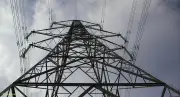 Suspected vandal found dead under collapsed tower in Delta