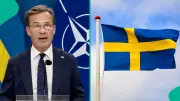 Sweden Lists 21 Occupations Exempt from Work Permit Requirements