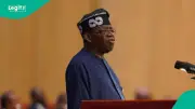Tinubu: Africa's Livestock Sector Key to Food Security, Economic Growth