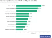 Top Nigerian Money Market Funds by Return as of July 2026