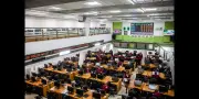 Top Nigerian Stocks Week Ending Aug 14: Gains and Losses