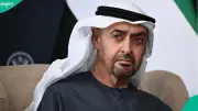 UAE Work Permit Cancellation: 3 Conditions Employers Must Know