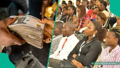 10 FG Funding Programmes Nigerians Can Access in 2026