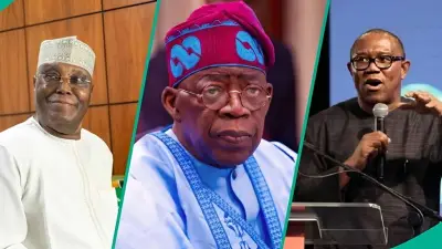 2027 Election: Nigeria Must Attract Investors, Not Scare Them Away
