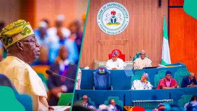 AAC Sues Tinubu, AGF, National Assembly Over Failure to Hand Over Power to Shettima