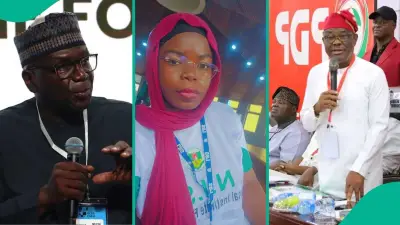 APC Chieftain Anifowoshe: Kwara Defections Not Collapse, Wike Claims Unproven