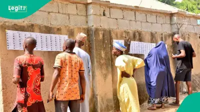 APC wins all 17 chairmanship seats in Yobe LG polls, YSIEC confirms