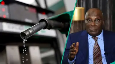 Atiku's Aide Faults FG's Petrol Price Comparison With US Over Income Gap