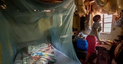 Best Mosquito Protection Methods Ranked for Nigerian Homes