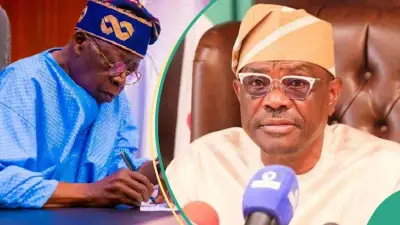 Cracks Emerge in Wike's Rainbow Coalition as Labour, APC Leaders Rebel