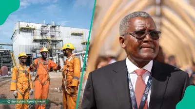 Dangote's WAEP Targets First Oil in Two Years as Refinery Raises Petrol Price