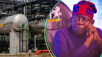 Energy Marketers Urge FG, NNPCL to Restart Refineries as Petrol Prices Rise