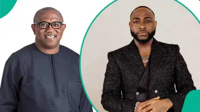 Fact Check: Davido Endorsement of Peter Obi for 2027 Is False